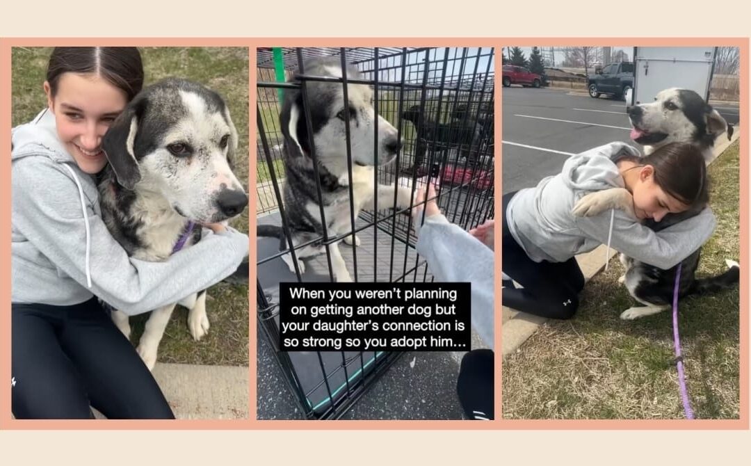 Mom says no to another dog—until a senior rescue “chooses” her teen