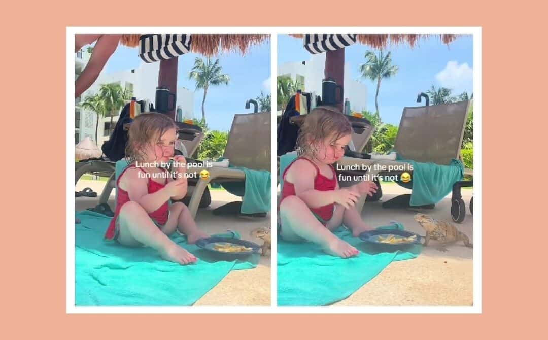 When your poolside snack is interrupted by a surprise guest (and no one knows who’s more startled)