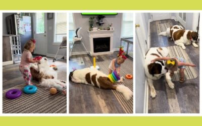 Mom checks on her toddler and Saint Bernard—and can’t believe what she finds