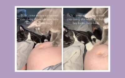 Why pets are drawn to pregnant bellies—and what it means for baby