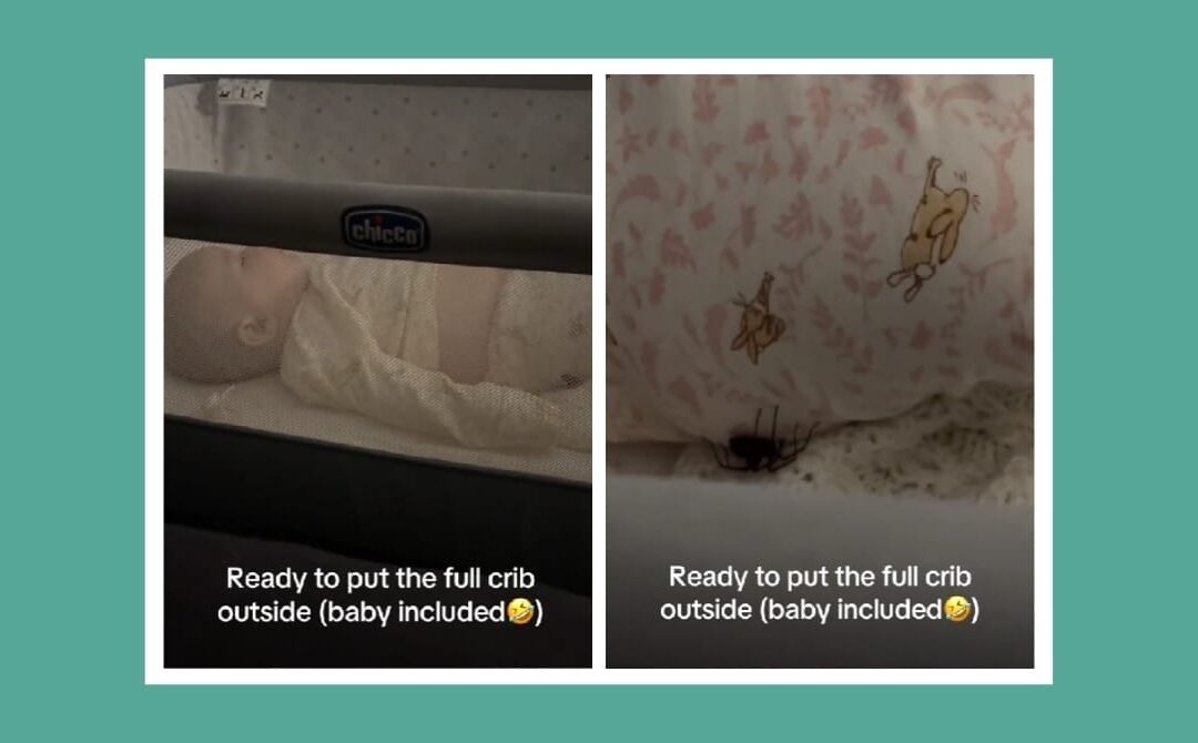 When mom instincts meet motherhood fears: The moment a spider tested one mother’s courage