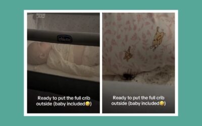 When mom instincts meet motherhood fears: The moment a spider tested one mother’s courage