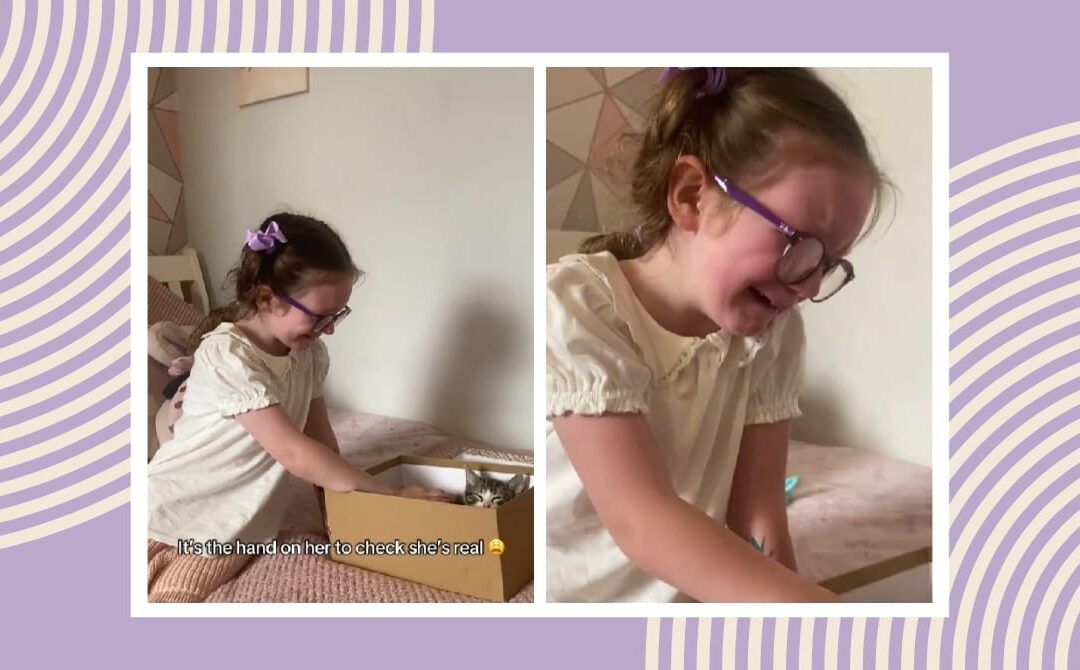 First-pet reveal melts hearts—and what parents can prep before bringing home a kitten