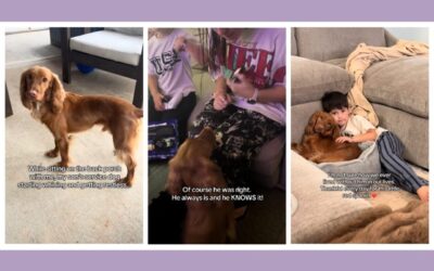 Paws at the door—and a mom realizes what her child’s service dog already knew